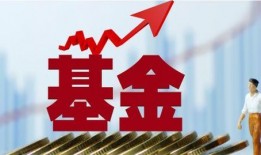 新华基金爆料最新消息,揭秘市场动态与投资趋势