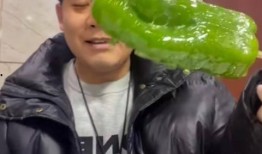 和县网红吃瓜事件视频,一场网络狂欢背后的真相揭秘