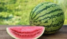 美味快递在线观看西瓜,在线观看西瓜，尽享美食盛宴