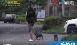 近期恋情爆料视频播放时间