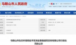三捷公司最新爆料信息查询,揭秘产品创新与市场布局新动向