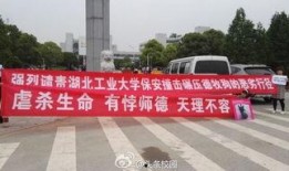 湖北校园爆料视频最新,揭秘校园内幕，引发社会关注