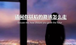 情感语录爆料视频下载免费,触动心弦的瞬间，尽在指尖流转