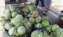 湘潭网红吃瓜事件,揭秘网络舆论的风暴与真相