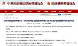 云南投资爆料最新消息视频,揭秘最新项目爆料视频亮点