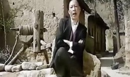 信天游电影在线观看,穿越时空的歌声之旅
