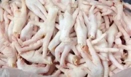 爆料鸡爪视频大全,背后真相与争议