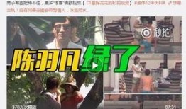 杨悦悦爆料事件真相视频,揭秘背后惊人内幕