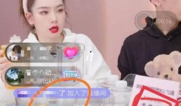 嘴哥老婆爆料视频播放,揭秘背后惊人真相
