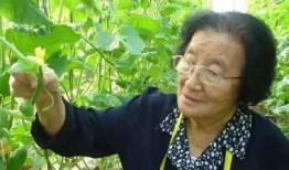 娱乐吃瓜酱夏天开空调,娱乐吃瓜酱教你如何开空调吃瓜两不误