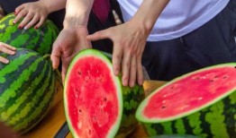 吃瓜推荐免费,吃瓜群众必看的明星幕后故事