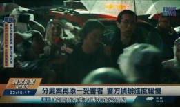 原犯罪在线观看,揭秘罪案背后的真相与人性挣扎