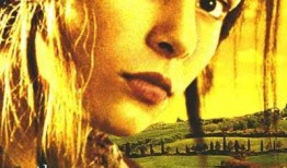 灿烂人生在线观看