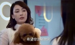 猪哥哥前女友爆料视频,揭秘背后惊人真相