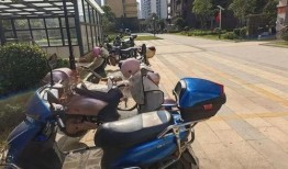 小区自行车爆料视频,共享单车停放乱象引发热议