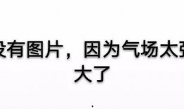 新闻联播大爆料视频下载,视频下载背后的真相