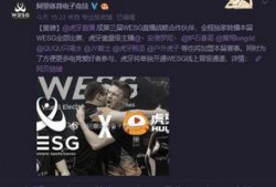 独家新闻爆料配乐视频播放,配乐视频播放背后的故事揭秘