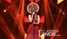 爆料蒙面歌王视频大全集,揭秘神秘歌手背后的精彩故事