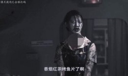 夜航惊魂在线观看.,揭秘神秘航班上的生死较量