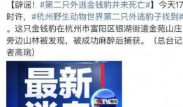 珠海餐饮爆料事件视频最新