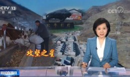 爆料涞源新闻报道视频播放,揭秘事件背后真相