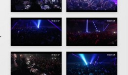 柏林夜总会爆料视频下载,揭秘幕后真相与精彩瞬间
