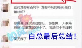冲哥爆料每日问答视频,每日问答视频精彩内容大盘点