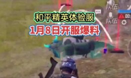 国际服和平精英爆料视频,全新内容抢先看，精彩玩法等你来体验！