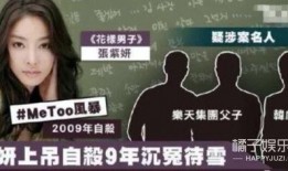 韩国娱乐圈黑幕揭秘爆料,揭秘幕后真相与生存法则