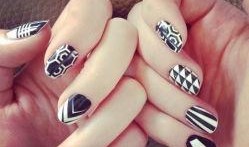 介休美甲爆料视频大全下载,视频大全下载攻略