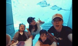 小鹿离婚爆料视频完整版,揭秘婚姻背后的真相与心酸