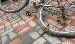 小区自行车爆料视频,共享单车停放乱象引发热议