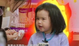 娱乐大爆料包贝尔是谁,娱乐大爆料背后的明星风采
