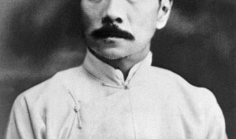 鲁迅最新爆料新闻视频,揭秘历史真相，引发社会热议