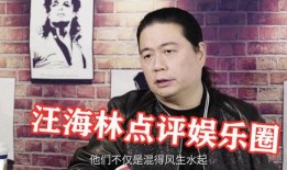 娱乐爆料小黄鸭事件真相,娱乐爆料背后的真相大起底