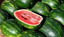 吃瓜推荐免费,吃瓜群众必看的明星幕后故事