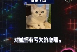 快乐吃瓜综艺在线观看免费,综艺盛宴等你来观