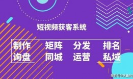短视频创业新闻爆料文案,揭秘爆火项目背后的幕后故事