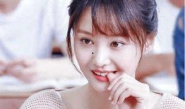 娱乐圈爽文吃瓜完结小说