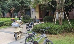 小区自行车爆料视频,共享单车停放乱象引发热议