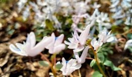 娱乐吃瓜酱夏天开空调,娱乐吃瓜酱教你如何开空调吃瓜两不误