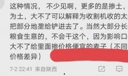 嚣张朋友爆料视频大全下载,揭秘幕后真相