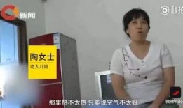 老马媳妇爆料新闻,揭秘娱乐圈惊人内幕