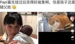 娱乐吃瓜酱带娃思想