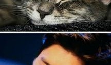 娱乐圈吃瓜猫咪是谁,揭秘网络红人的幕后故事