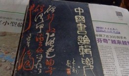 爆料主播探店视频大全,揭秘热门店铺幕后故事
