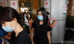 深圳女孩王小姐爆料视频,揭秘背后惊人真相